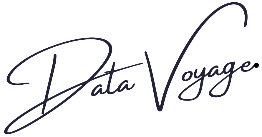 Data Voyage By Hasnain Logo